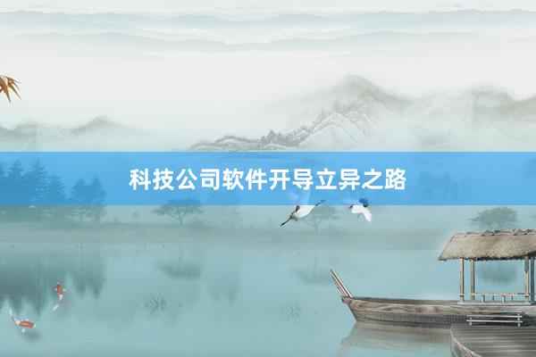 科技公司软件开导立异之路
