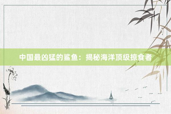 中国最凶猛的鲨鱼：揭秘海洋顶级掠食者
